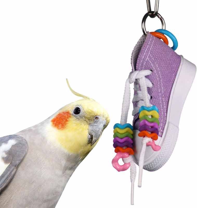 Super Bird Creations Bird Toy Bundle， Small/Medium， 4 count