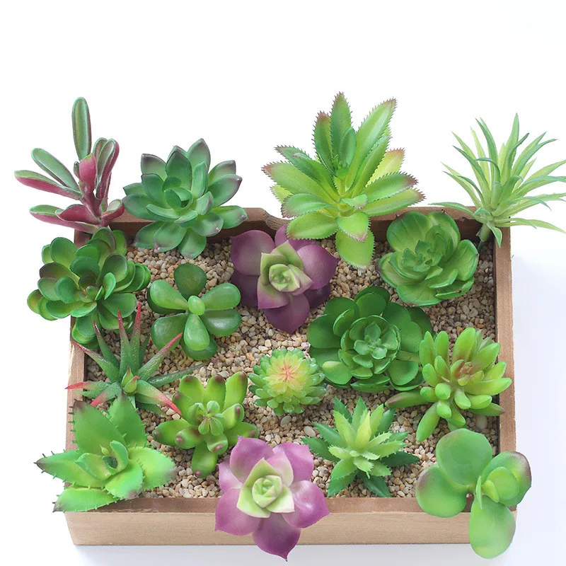 Stylish Simulation Succulent Plants Live Natural Fresh Plastic Flowers Decorations Lifelike Artificial Small Plant