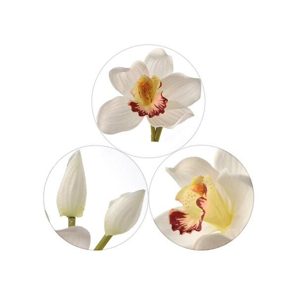 30 Cymbidium Orchid White