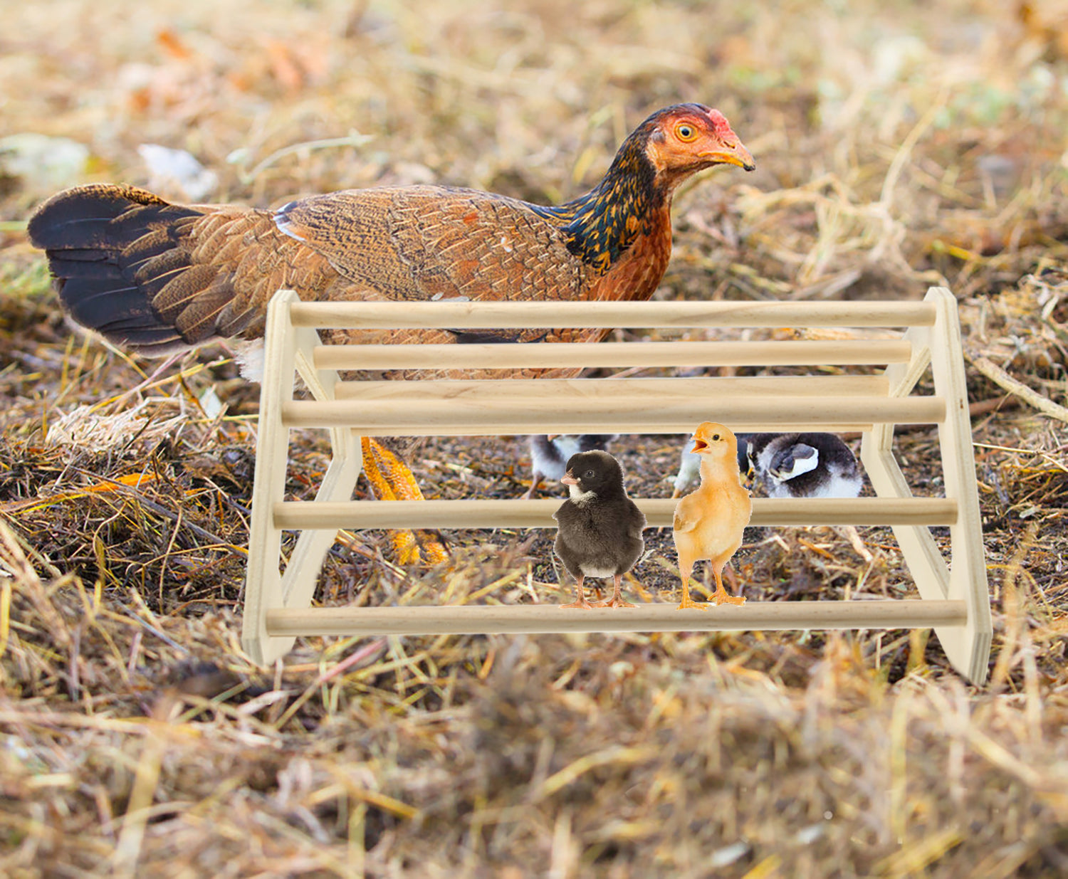 Vehomy 3 Pack Chicken Perch Chicken Toys Chicken Wooden Roosting Bar Chick Jungle Gym Perch Stand for Chicken Brooder， Coop Baby Chicks， Hens