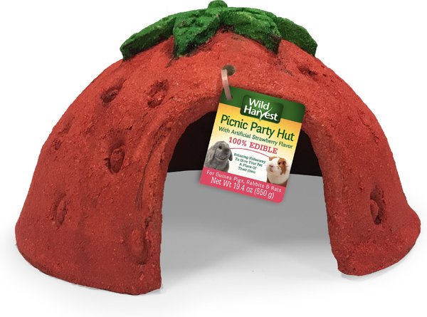 Wild Harvest Picnic Party Hut Strawberry Small Pet Treat