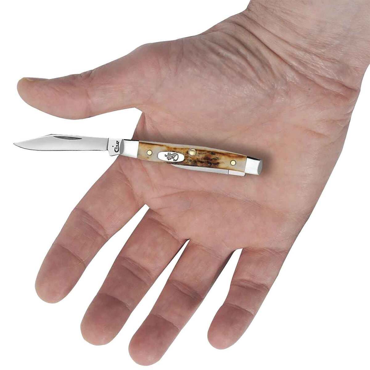 Case Small Pen 2 inch Folding Knife