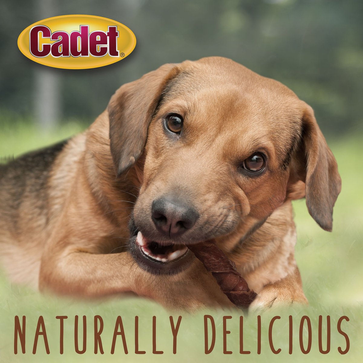 Cadet Gourmet Triple Chews Apple， Duck and Pork Hide Twists Dog Treats， 6 count