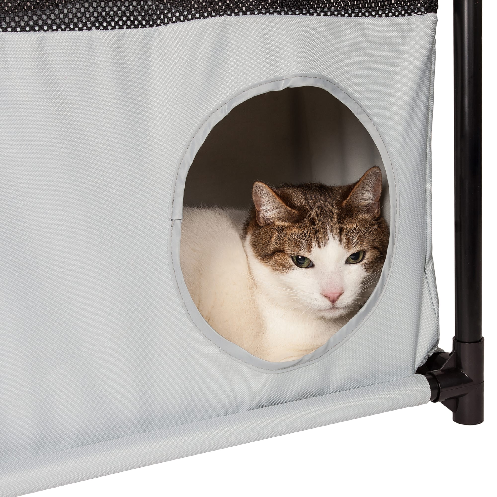 Pet Life Black Square Obstacle Soft Folding Sturdy Play-Active Collapsible Travel Cat House， 17.71