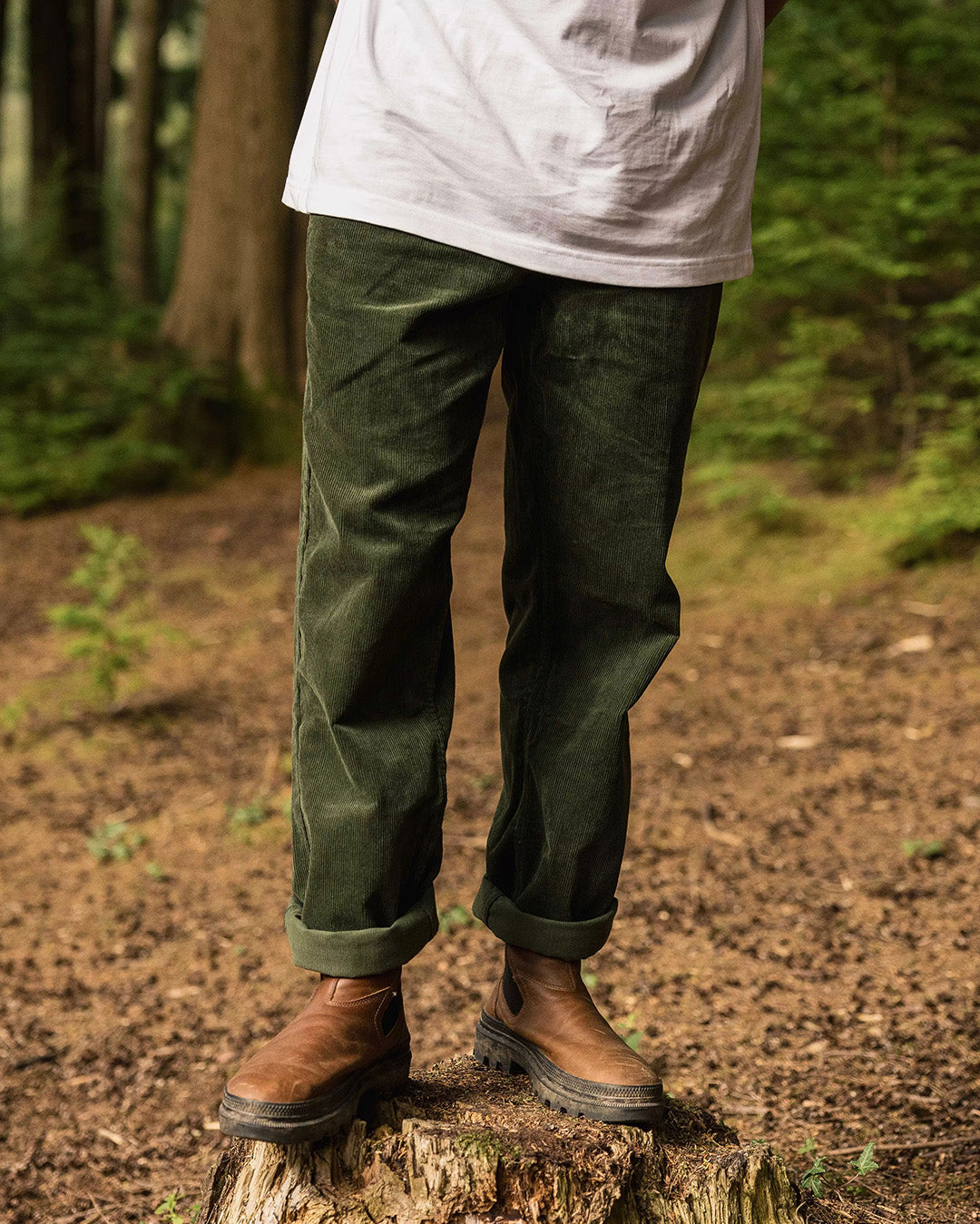 Adventurer Cord Trouser - Fir Tree