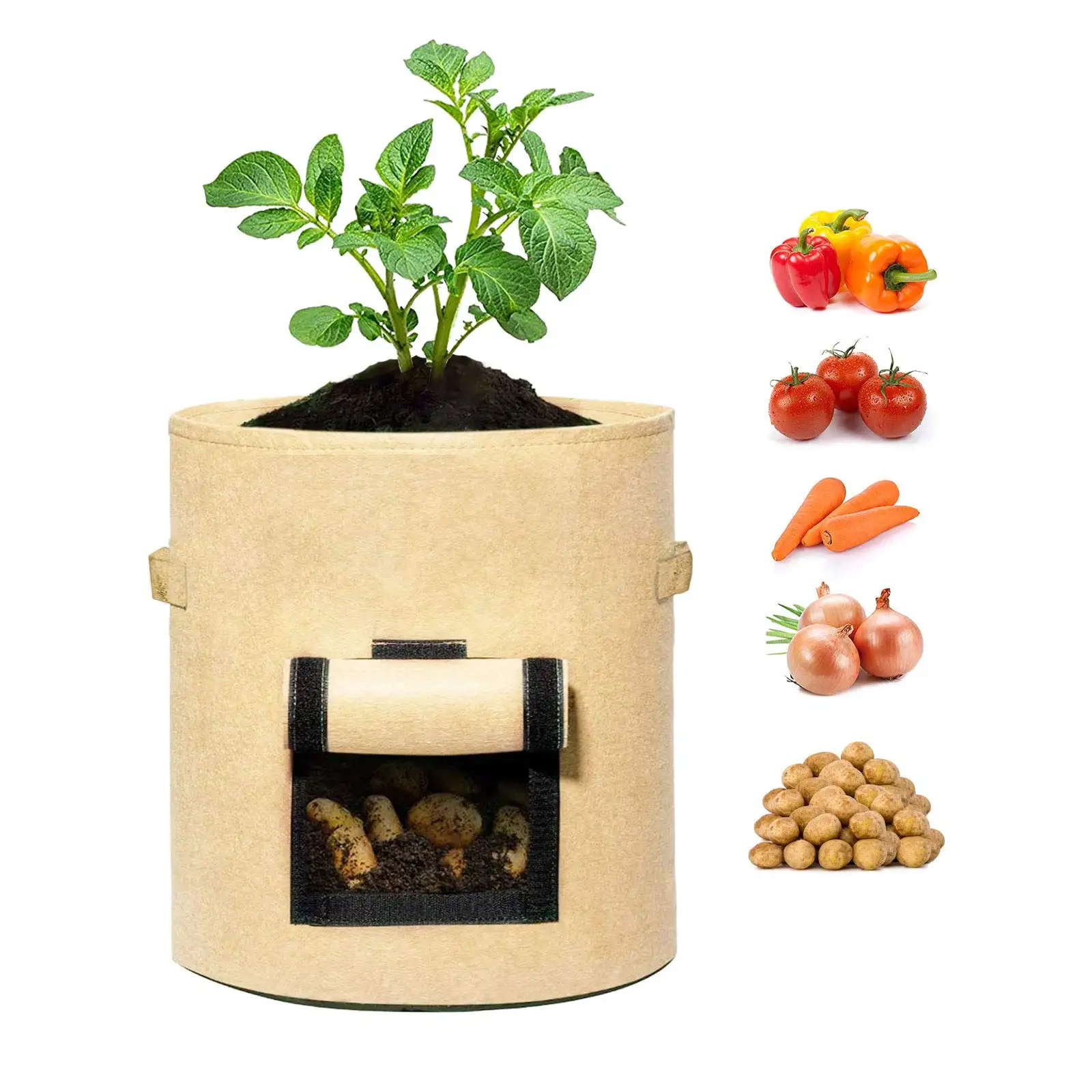 Fruit Protection Felt Plant Pot For Gardening Supplies 10 Gallon Fabric Grow Bag