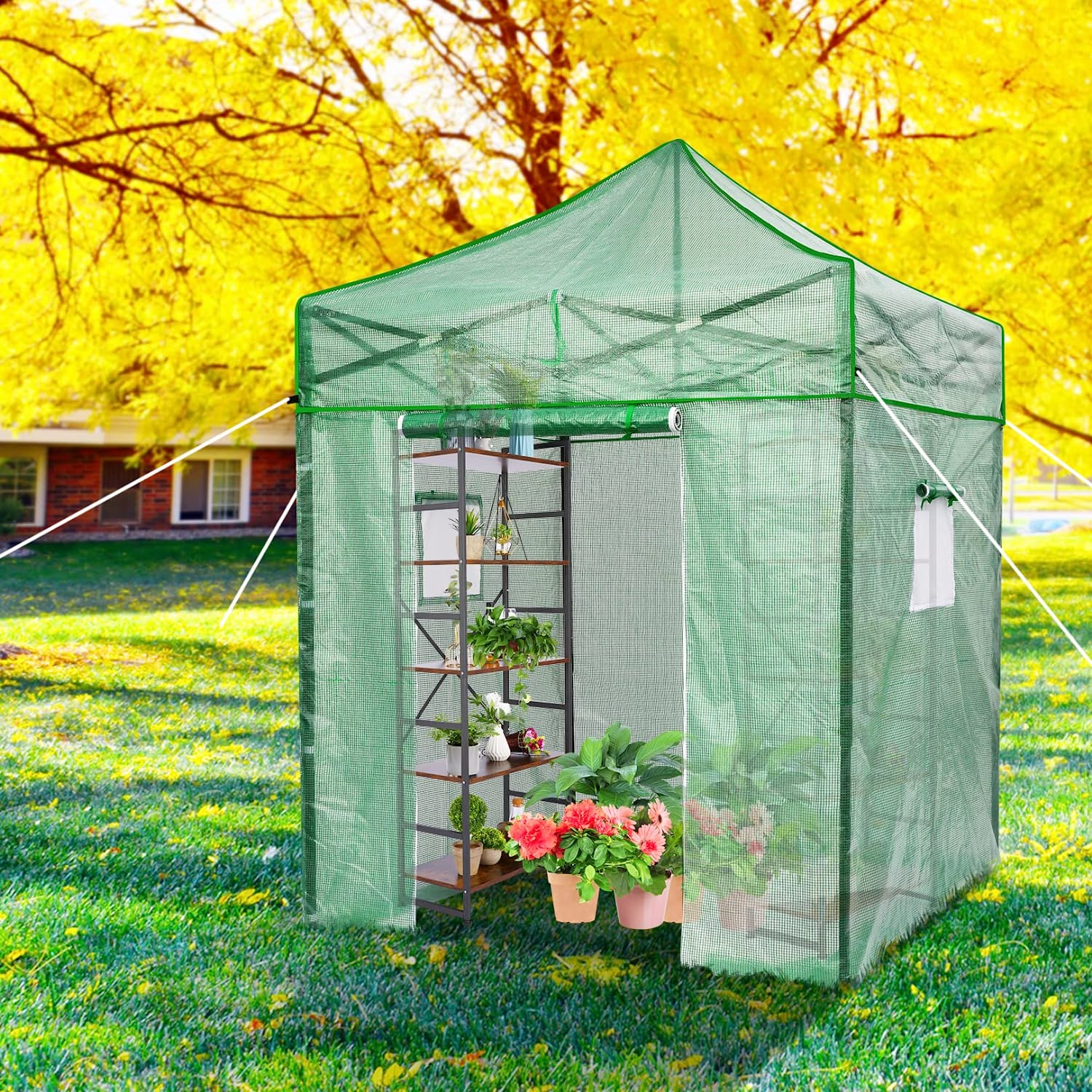 Likein Green House for Outdoors Heavy Duty, Walk in Pop up Greenhouse, 6.6x6.6FT