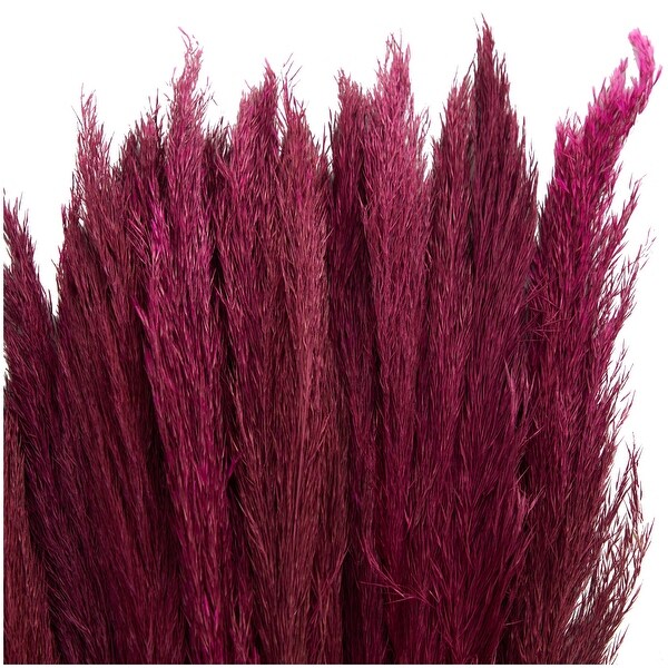 Pink Dried Plant Pampas Home Decor Natural Foliage with Long Stems