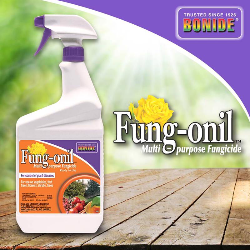 FUNGOIL FUNG RTU QT