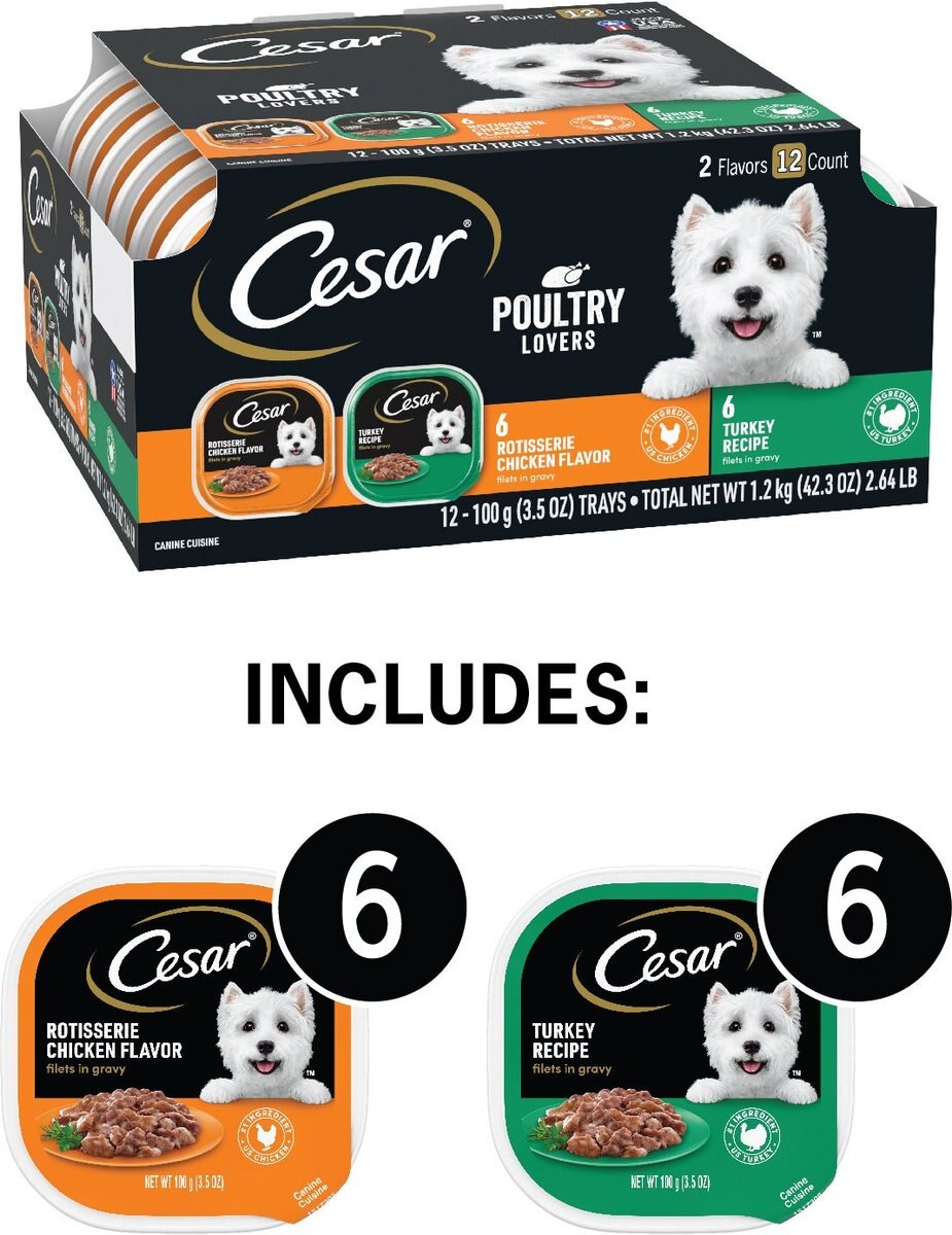 Cesar Poultry Lovers Turkey and Chicken Filets in Gravy Multipack Wet Dog Food Trays