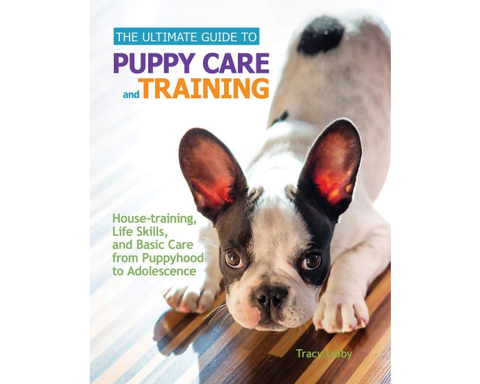 Companion Books Ultimate Guide to Puppy Care and Training