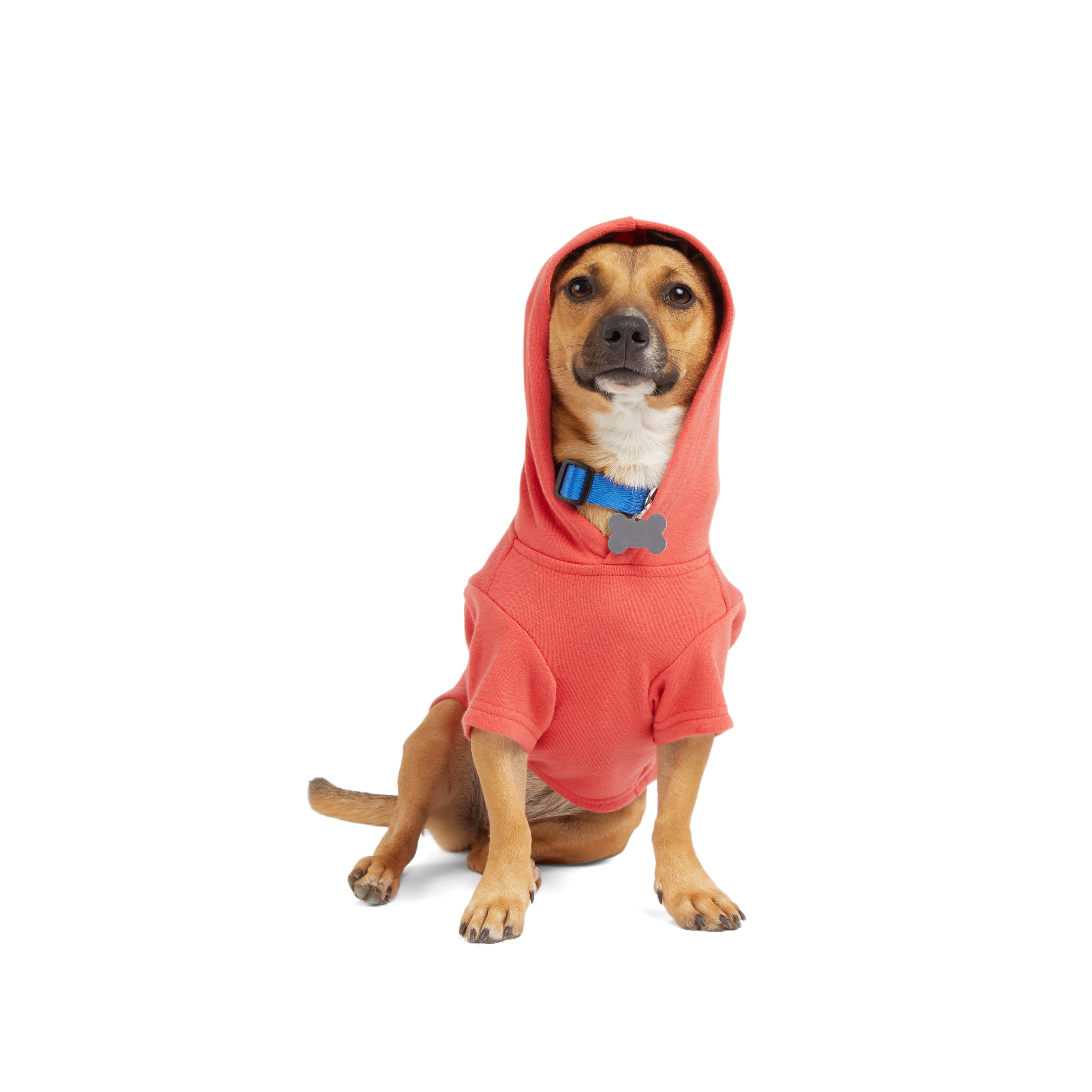 YOULY Leftovers Dog Hoodie， X-Small