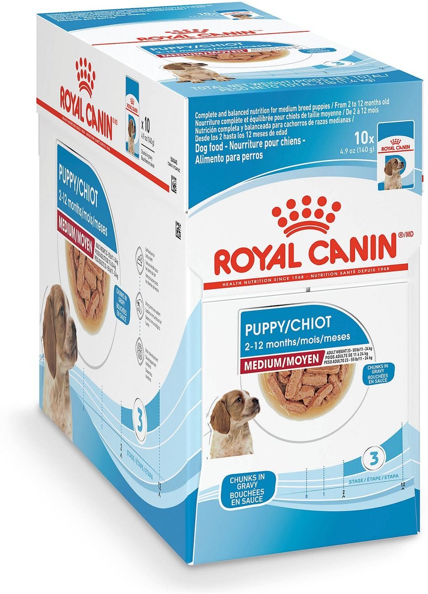 Royal Canin Size Health Nutrition Medium Puppy Chunks in Gravy Dog Food Pouch， 4.9-oz， case of 10