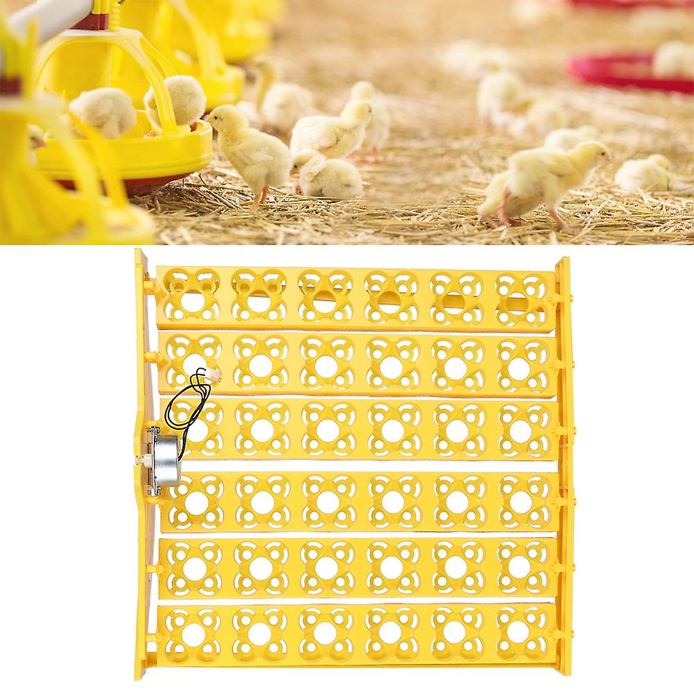 36 Automatic Egg Turning Incubators Tray Temperature Control For Poultry Incubation