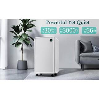 30 pt. 3000 sq.ft. Auto or Manual Drain Dehumidifier in. White with 2L Water Tank jinxDHMDFR1