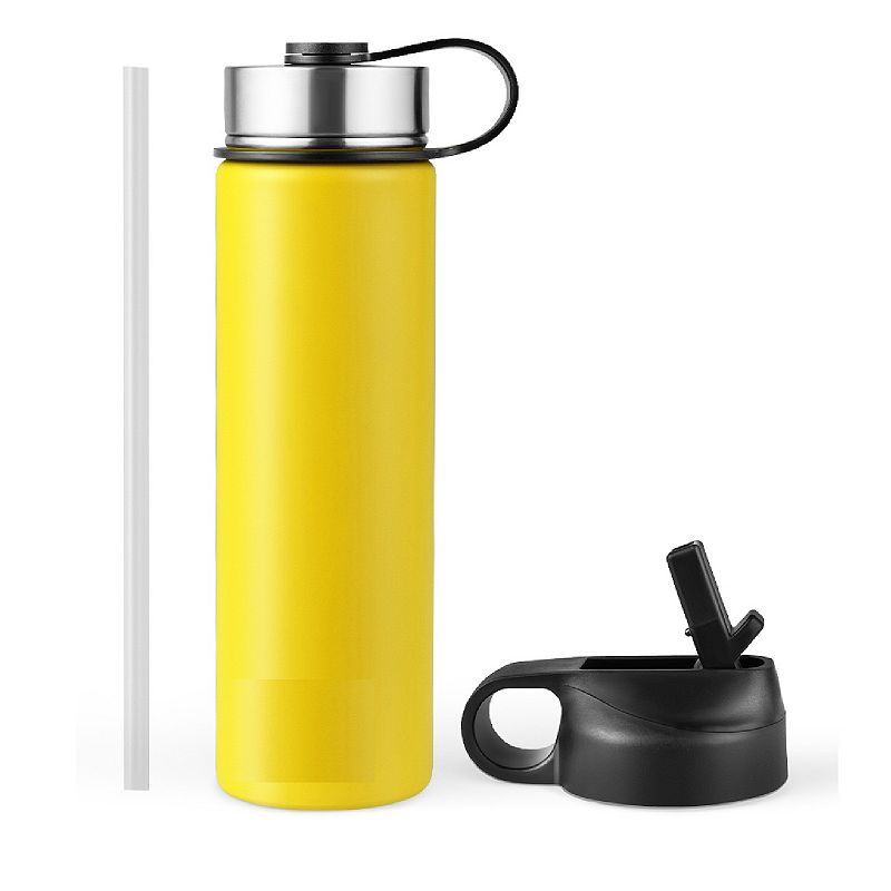 22 Oz Double-walled Insulated Stainless Steel Water Bottle with Straw Lid