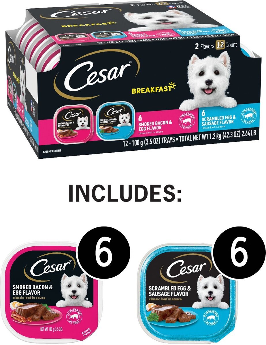 Cesar Breakfast Classic Loaf in Sauce Multipack Wet Dog Food Trays