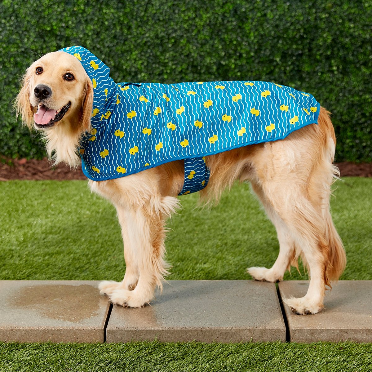 Frisco Rubber Ducky Dog Raincoat