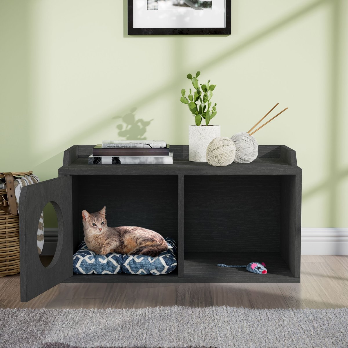 Way Basics Double Hole with 1 Door Cat House， Medium