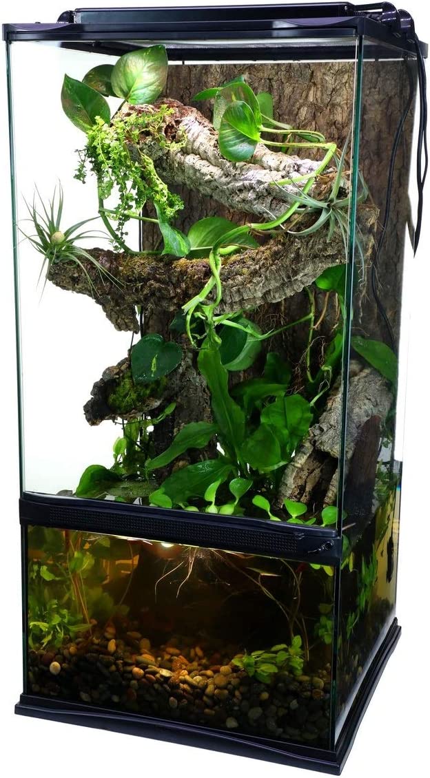 Zoo Med Laboratories NT-2P 4  Gallon Paludarium Terrarium and Aquarium