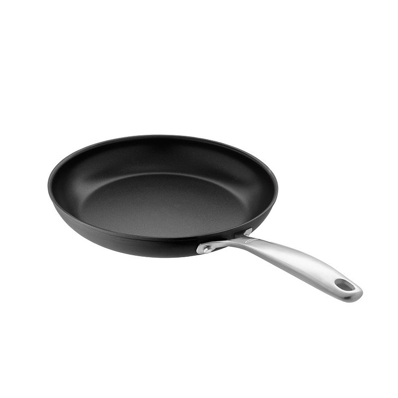 OXO Pro 10-in. Hard-Anodized Nonstick Frypan