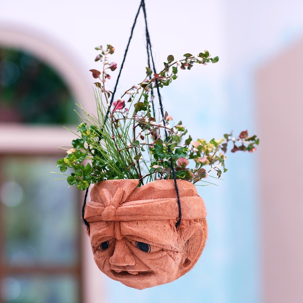 Novica Handmade Dont Worry Coconut Shell Hanging Planter