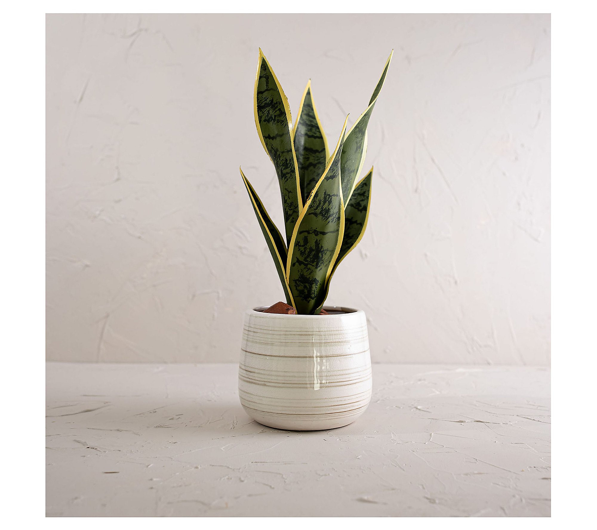 Foreside Home and Garden White Swirl Stoneware Planter