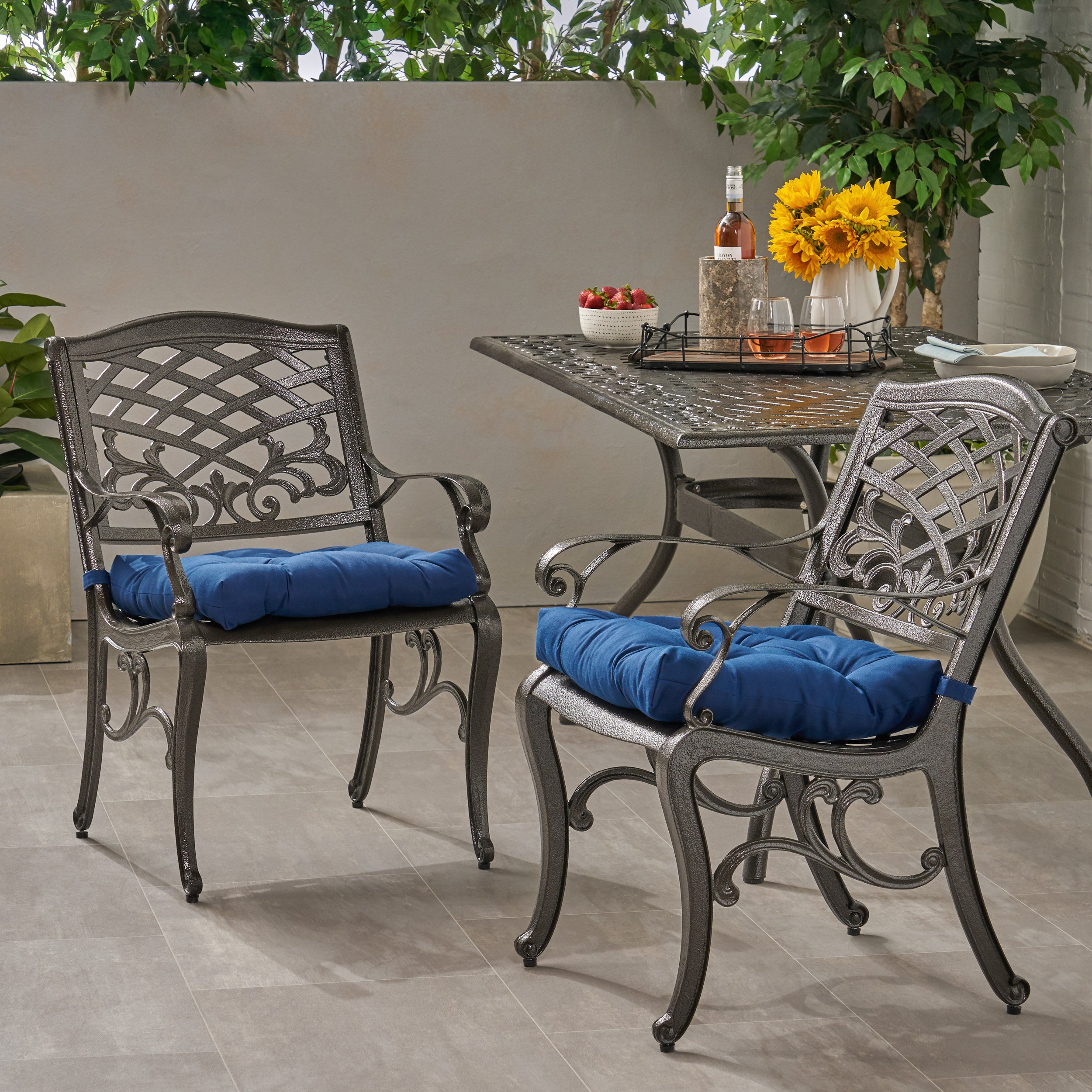 Juel Outdoor Dining Chair with Cushion (Set of 2)