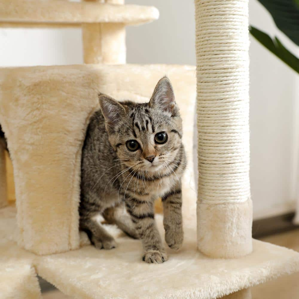 Foobrues Cat Tree 56 in. Cat Tower for Multiple Cats with Super Large Perch Double Condo Hammock and Scratching Post L-W79633963