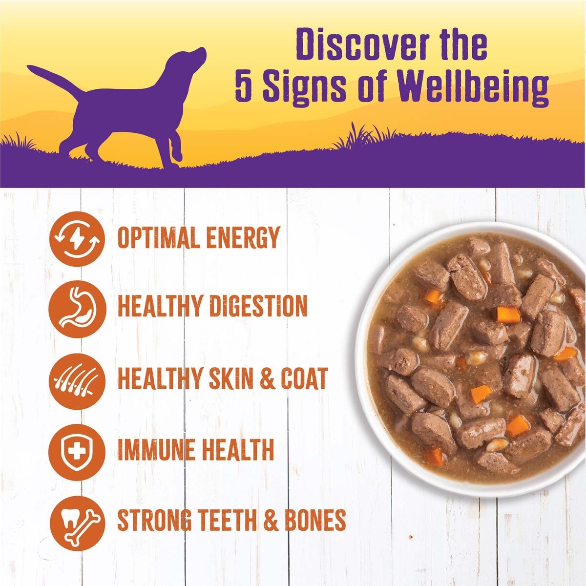 Wellness Turkey Stew with Barley and Carrots Canned Dog Food