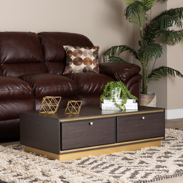 Cormac Transitional Wood and Metal 2-Drawer Coffee Table