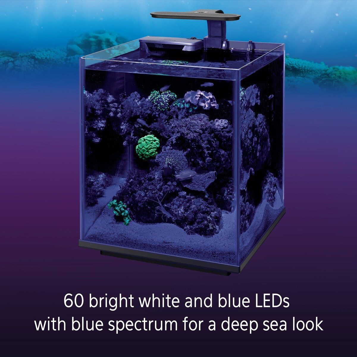 Coralife Marine Aquarium Clip-On LED Light