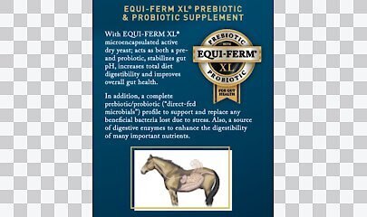 Tribute Equine Nutrition Foal Foundation Milk-Based Horse Feed