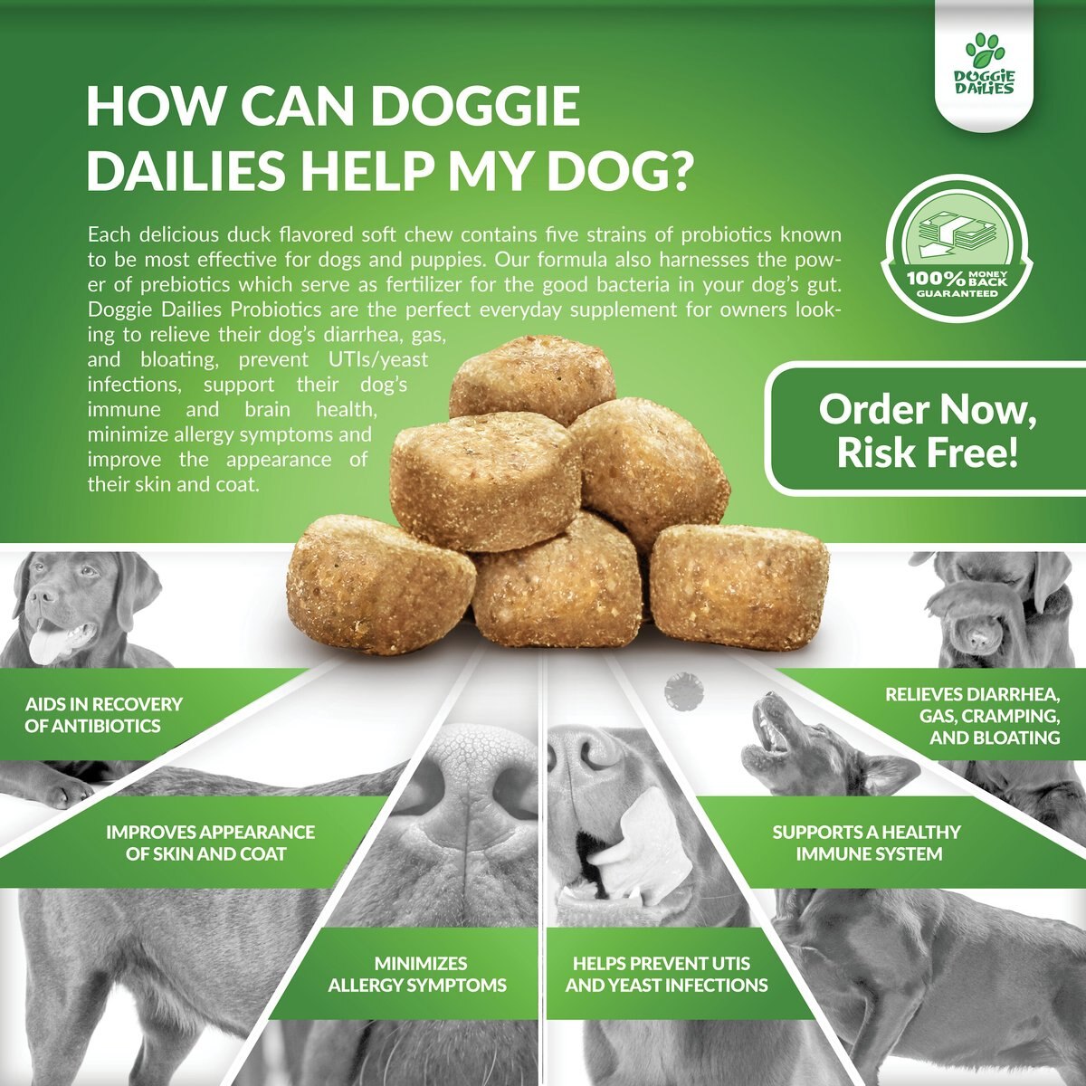 Doggie Dailies Advanced Probiotics and Prebiotics Dog Supplement