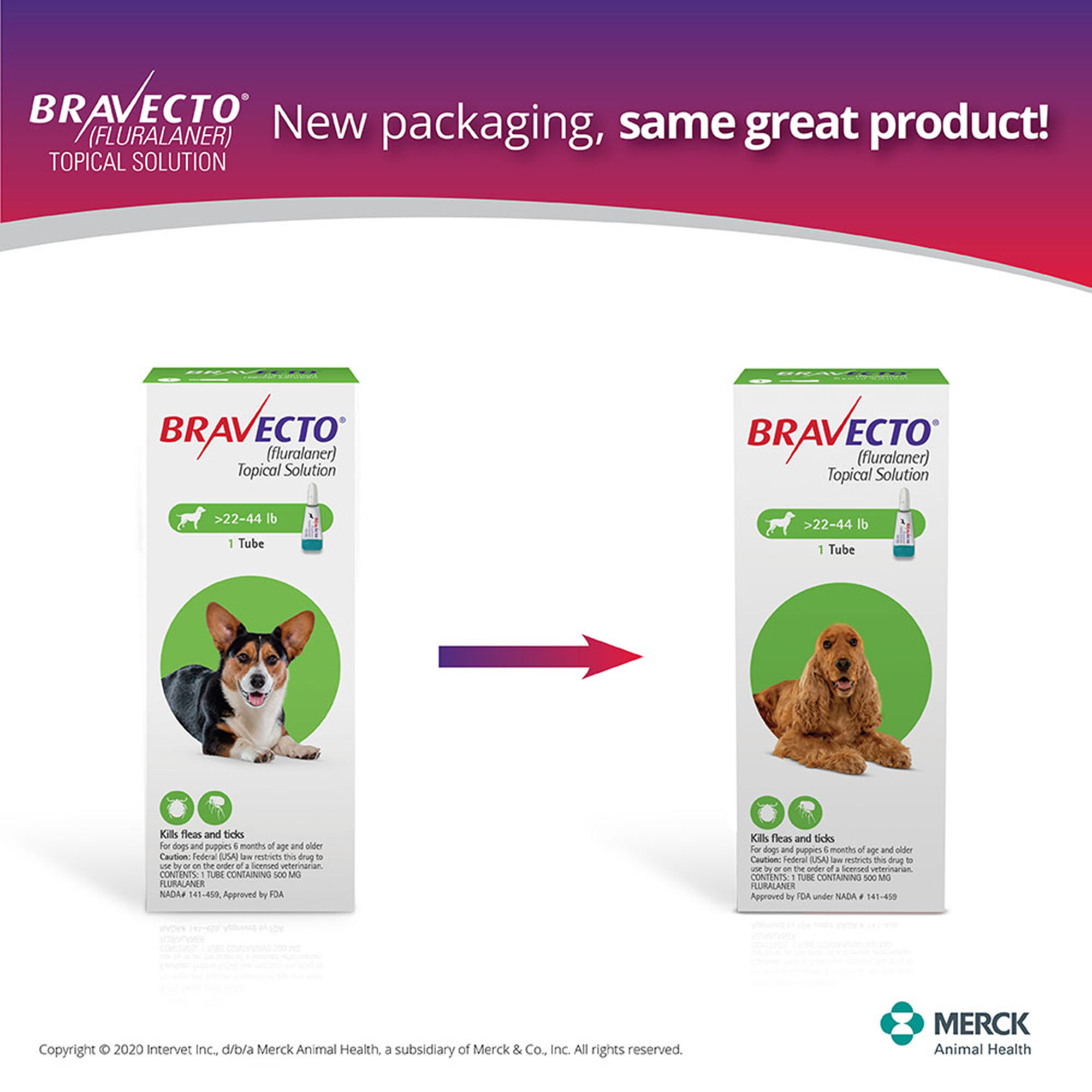 Bravecto Topical Solution for Dogs 22-44 lbs， 3 Month Supply