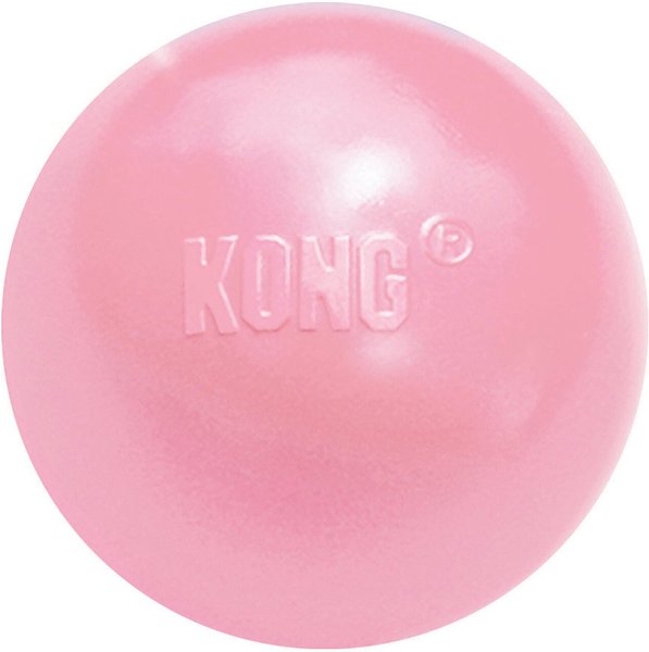 KONG Stuffable Puppy Ball Dog Toy， Color Varies