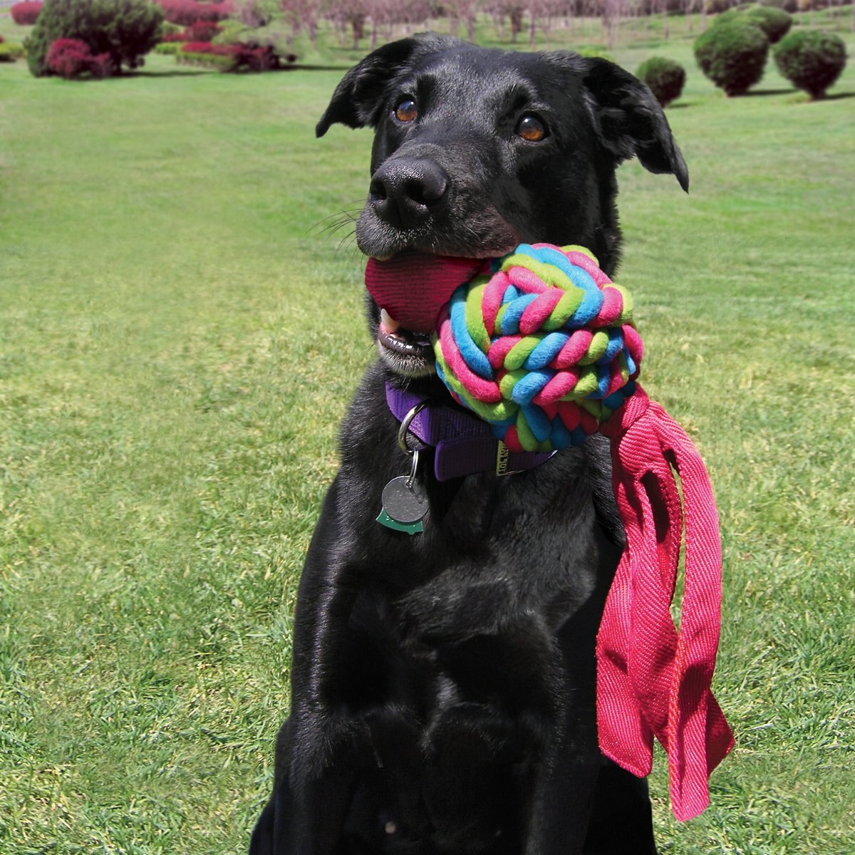 KONG Wubba Weave Dog Toy， Color Varies