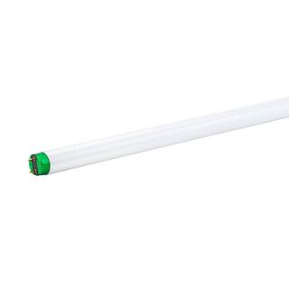 Philips 17-Watt 2 ft. Linear T8 Fluorescent Tube Light Bulb Daylight Deluxe (6500K) ALTO (1-Pack) 431998