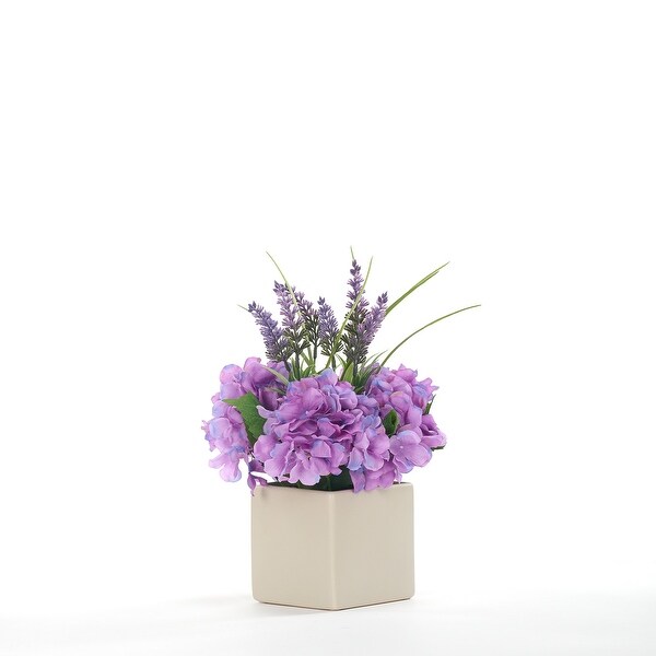 Lavender in Square Ceramic Planter