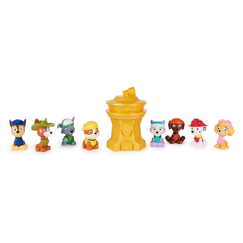 Spin Master Paw Patrol 10th Anniversary Collectible Blind Box Mini Figure - Style May Vary