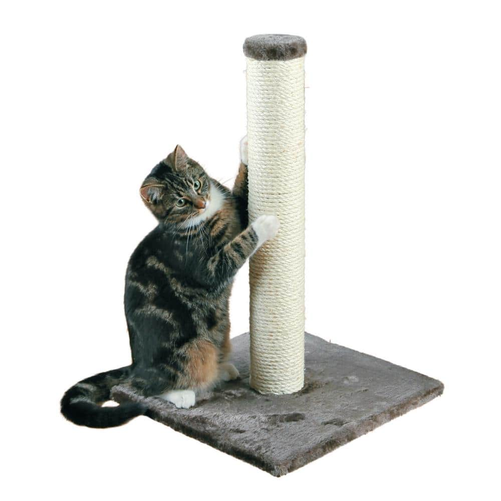 TRIXIE Parla Scratching Post, Dark Gray 43332