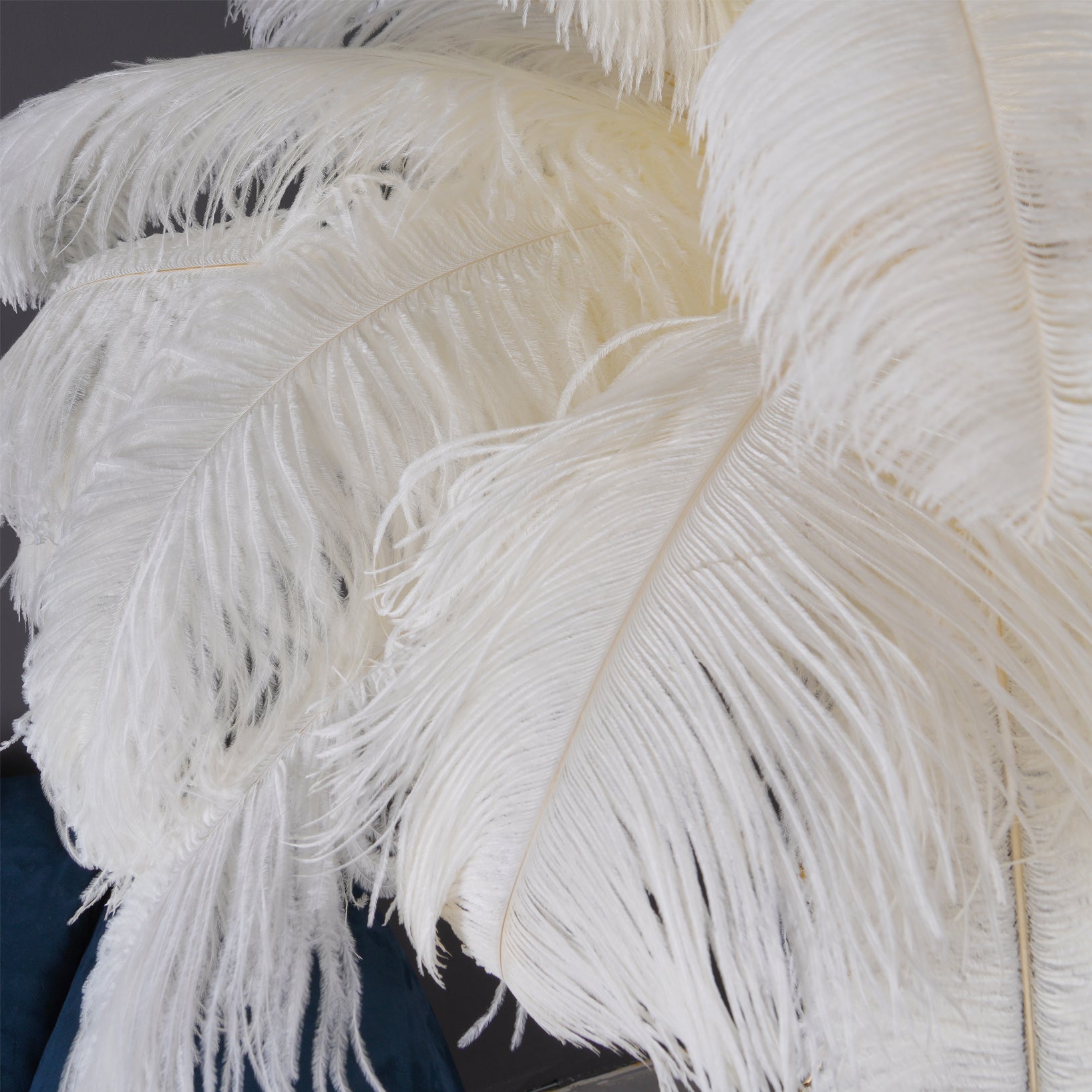 Ostrich Feather Brass Floor Lamp