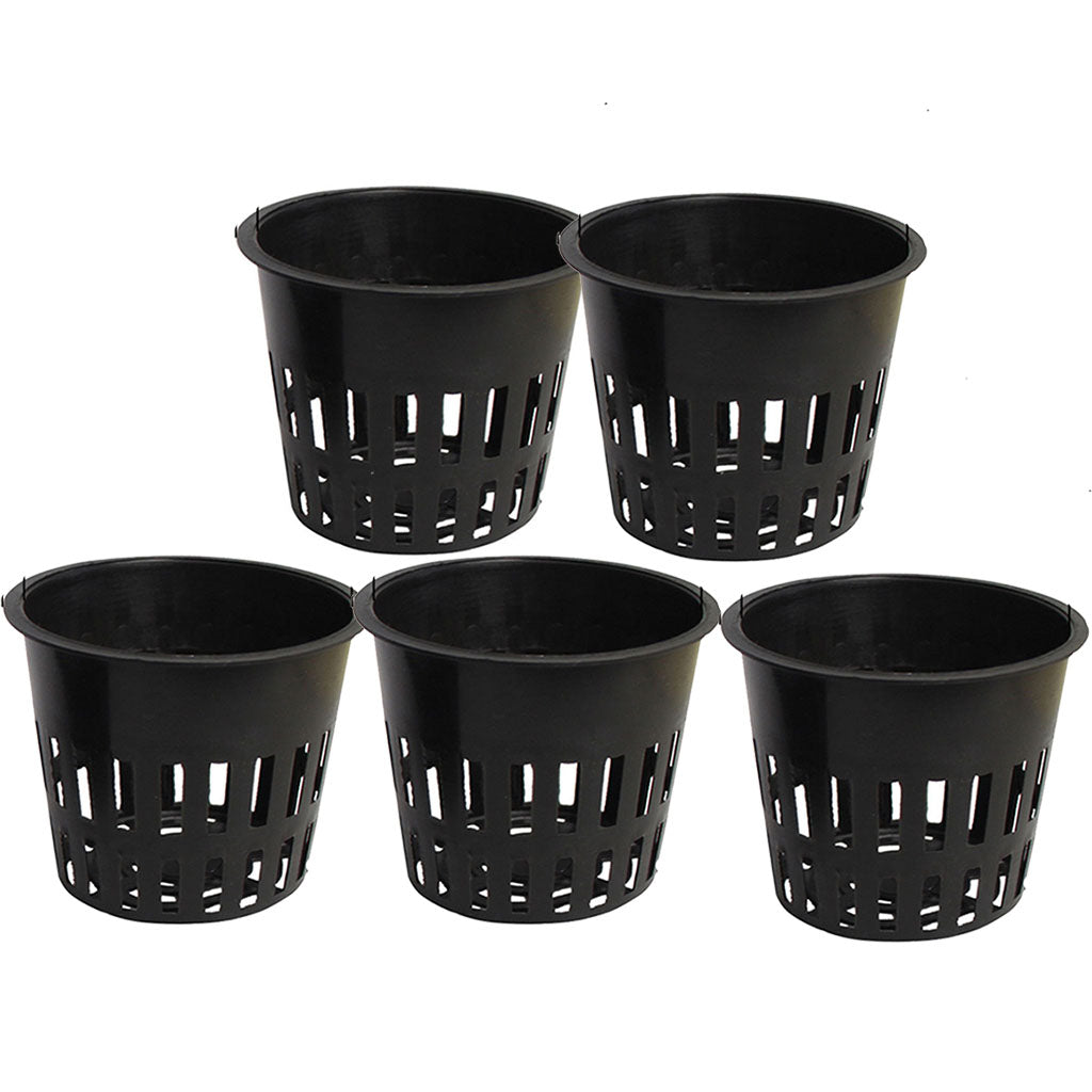 5x Heavy s Basket Garden Plng