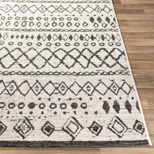 Eagean Indoor/Outdoor White Rug