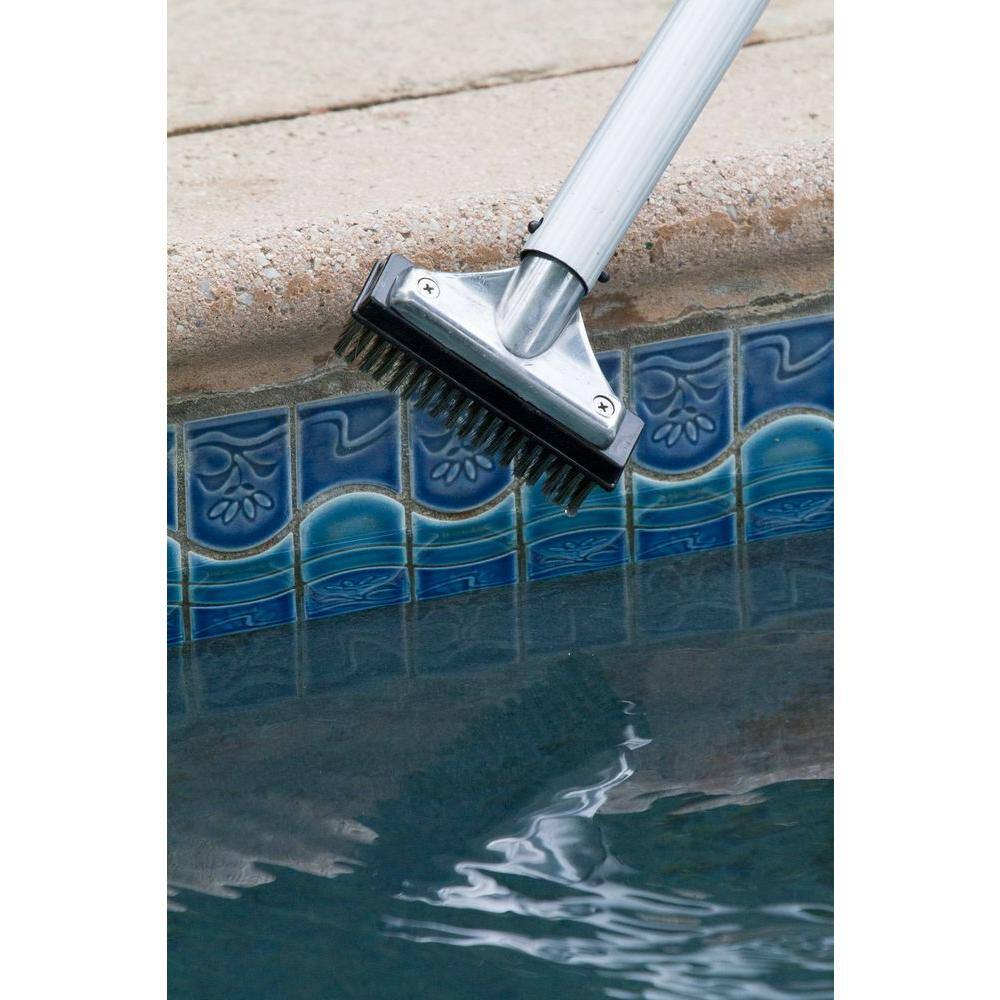 HDX 5 in. Stainless Steel Bristle Swimming Pool Brush for Algae Removal 60278