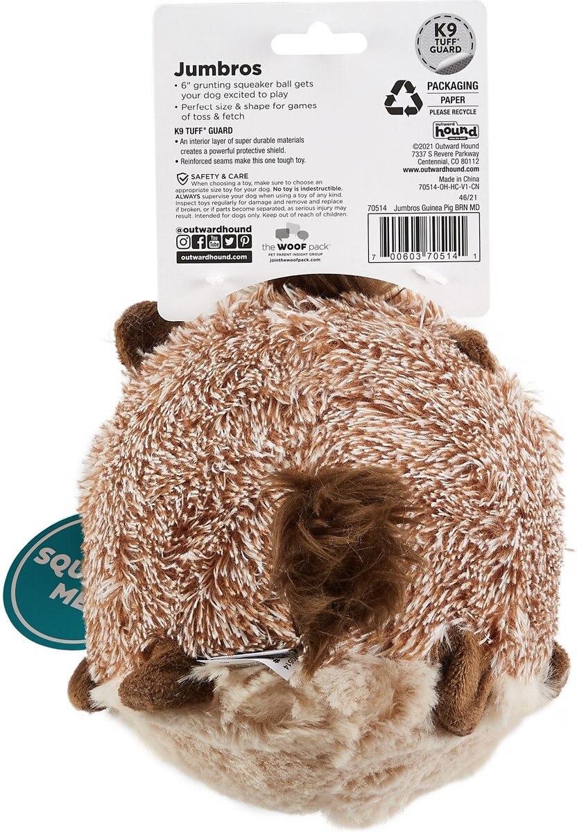 Outward Hound Jumbros Guinea Pig Grunting Ball Dog Toy， Brown， Medium