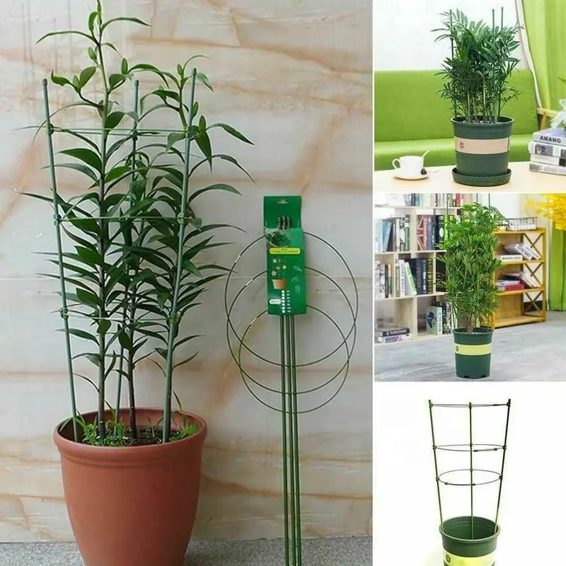 Wholesale supply durable climbing plant support cage garden trellis tomato flower 3 rings