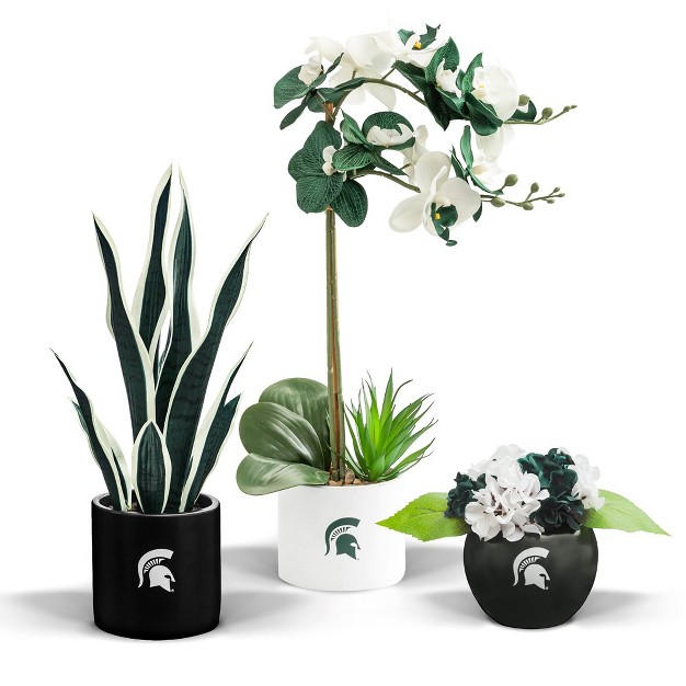 Quicskcart Michigan State Artificial Snake， Orchid And Hydrangea Plants 3-pack Bundle， Indoor Artificial Plant For Home Decor