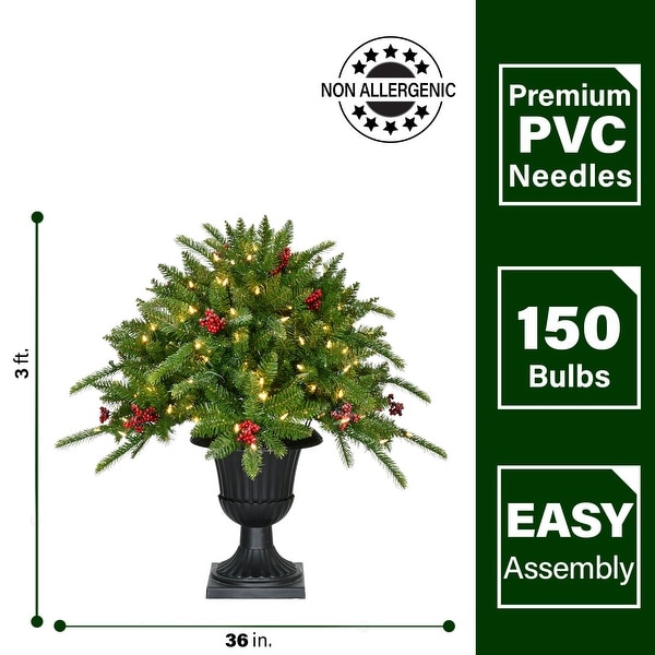 Fraser Hill Farm 3Ft. Porch Tree in Black Pot with Red Berries and Warm White Lights