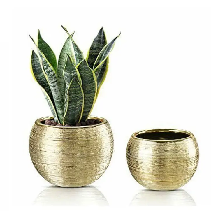 Affordable Price Set of Two Planter Home Indoor Outdoor Garden Usage Customized Size Metal Planter Made by India